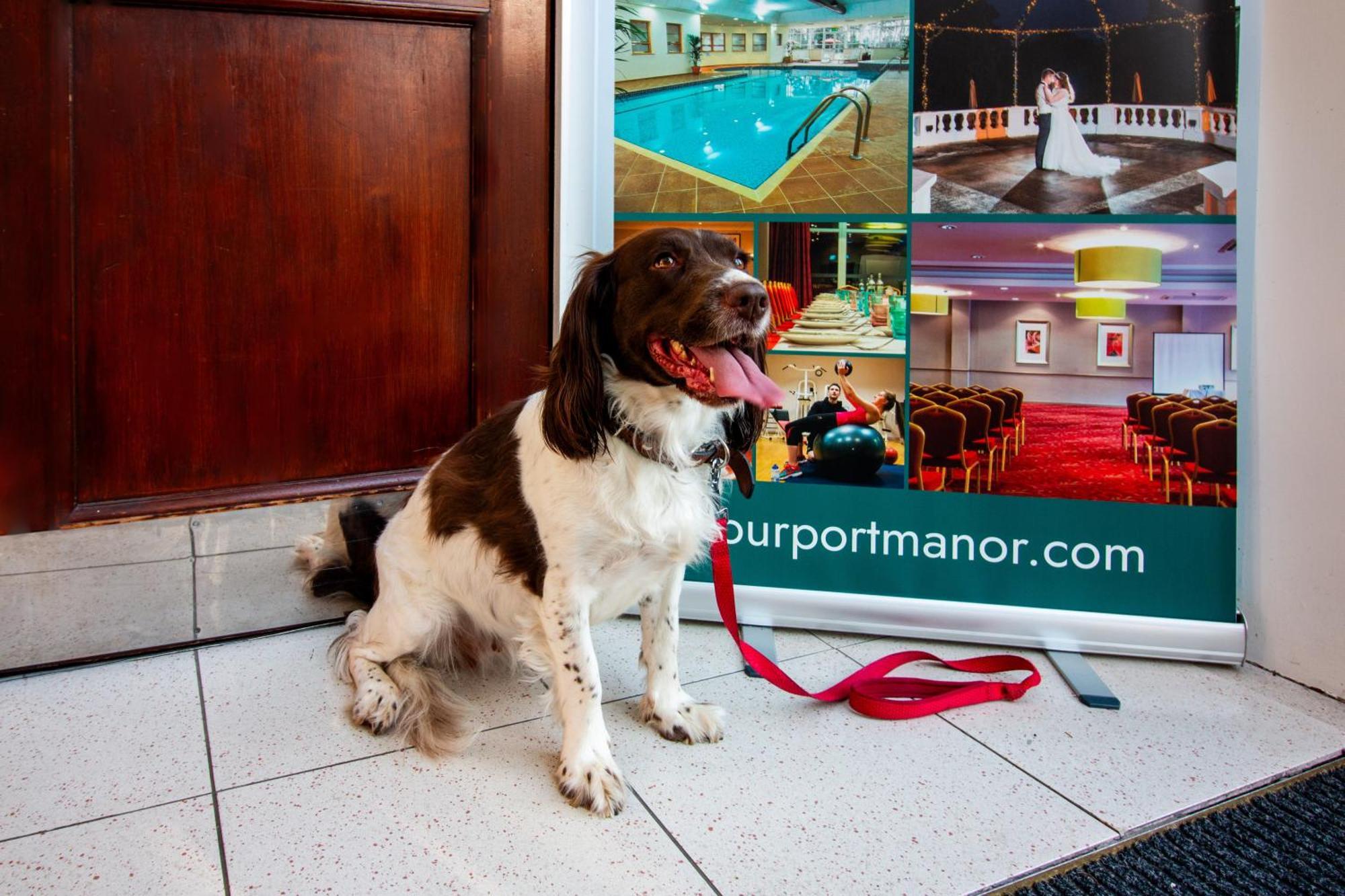 Stourport Manor Hotel Extérieur photo